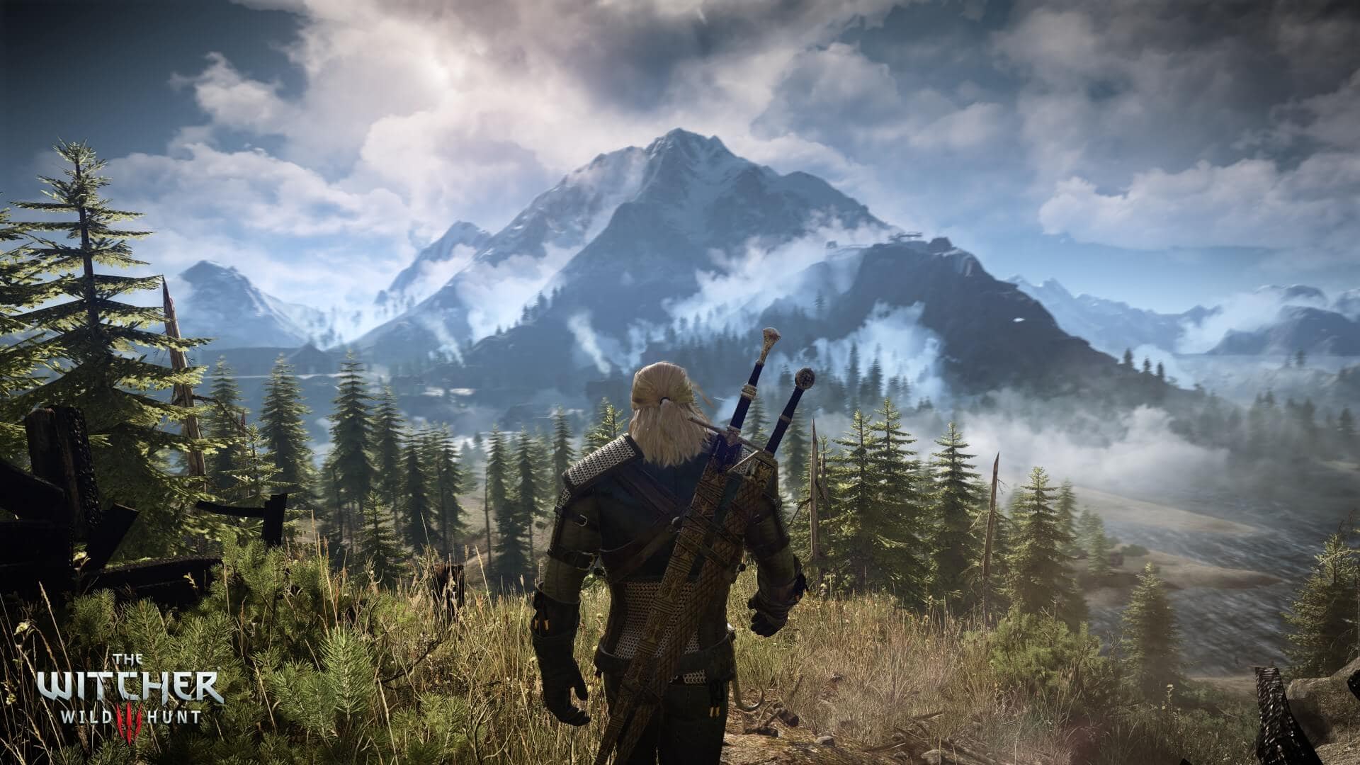 The Witcher 3: Wild Hunt Forest Environment Screenshot