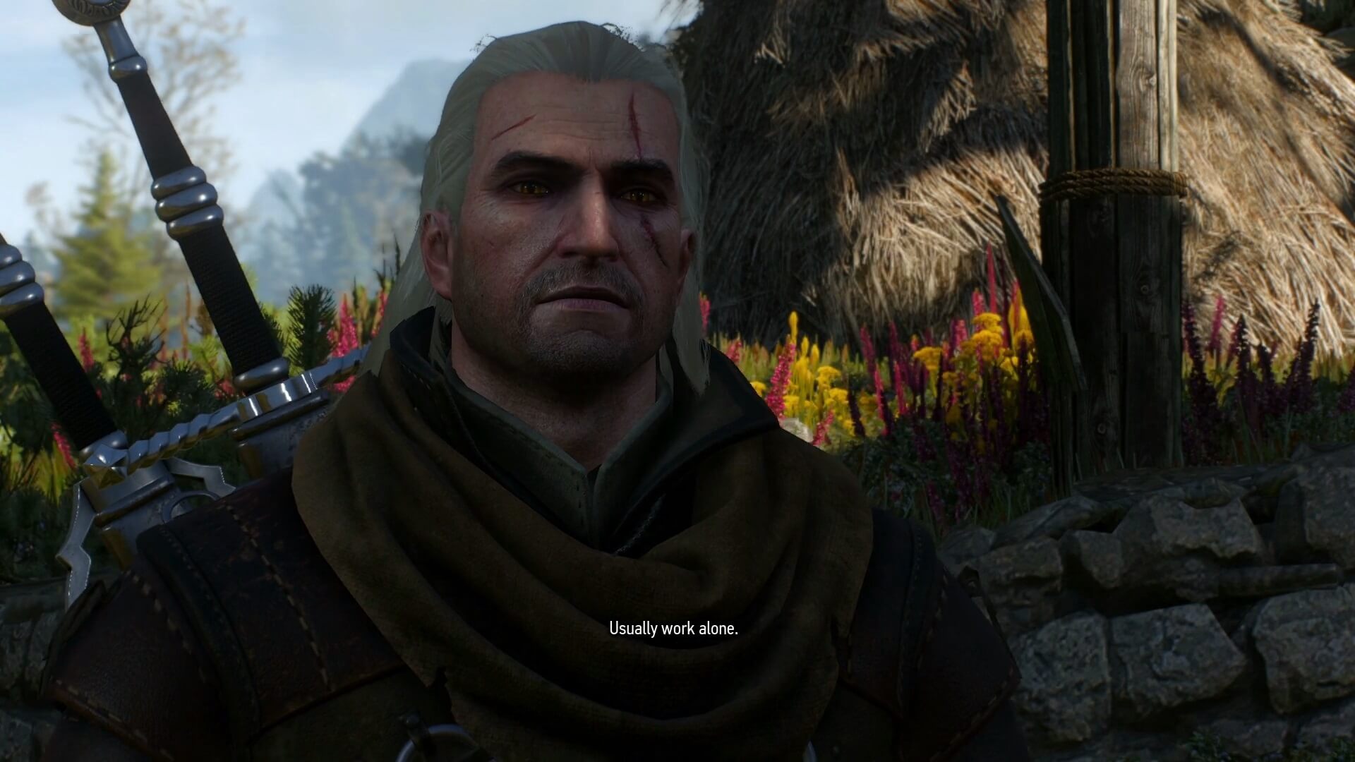 witcher 3 wild hunt quest dialogue two