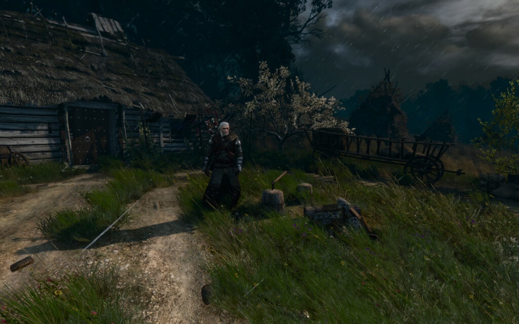 witcher 3 unlisted small changes next-gen patch